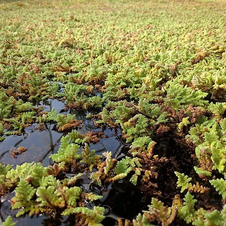 6 Person In Hurup Thy-by Traum * Sindrup