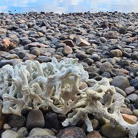 6 Person In Hurup Thy-by Traum Ferienhaus Sindrup